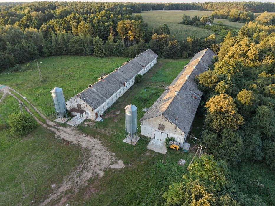 Działająca ferma drobiu - Nieruchomość | 1319 m² kurników | 2,8 ha | Rydzewo, gm. Sierpc