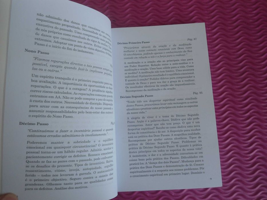 Doze passos e Doze tradições