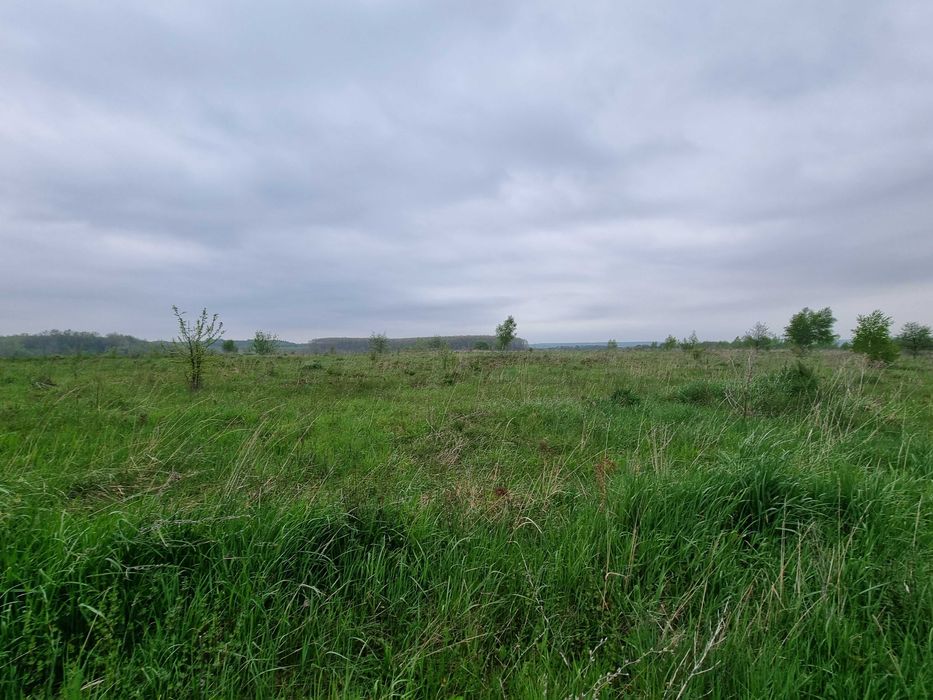 Продається ділянка 12 с. Колодіївка. Місто. Вовчинець. Краєвид. Гори