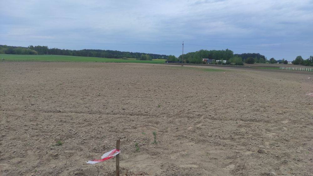 Działki Bartodzieje