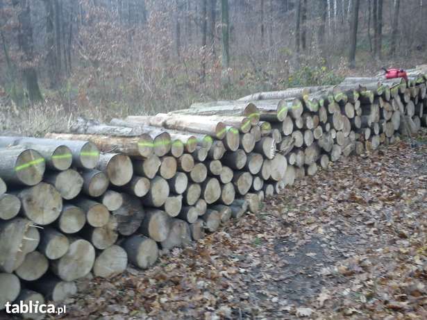 Drewno kominkowe i opałowe od 270zl  worki rospałkowe 14zł suchy buk