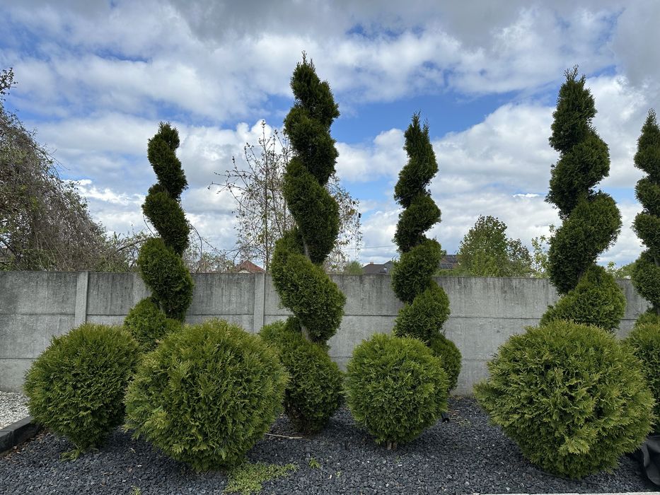 Usługi Ogrodnicze „Gardener”