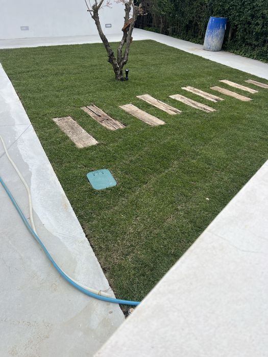 relva natural em tapete