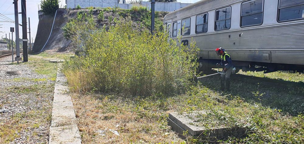 Limpeza de terrenos/desmatação LISBOA e arredores