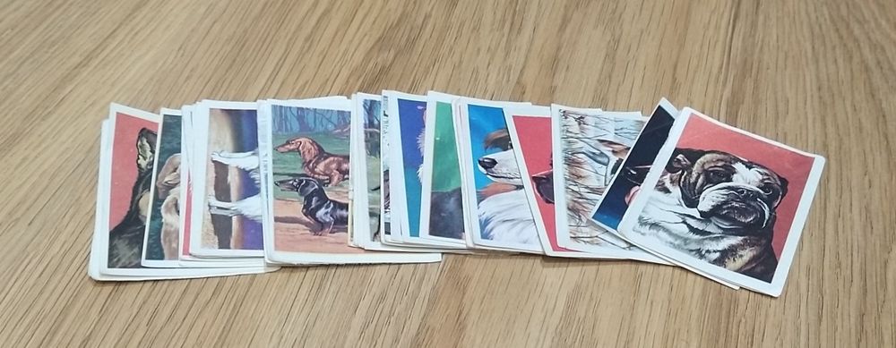 Conjunto de antigos cromos do Clube Pirata - Cães
