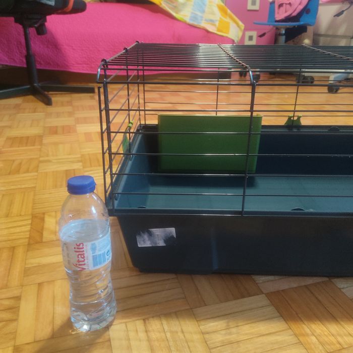 Gaiola para grandes roedores