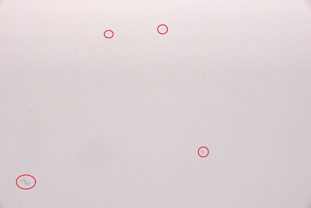 Lumix LX100 + bogaty zestaw || bardzo dobry stan