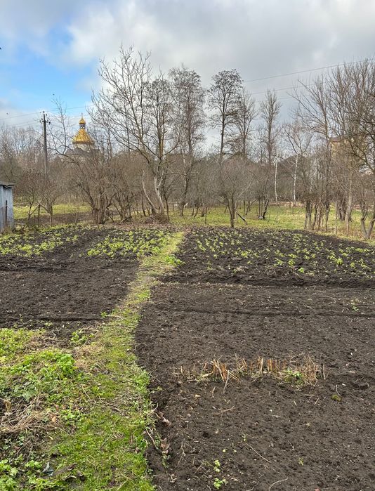 Продається! Ділянка в центрі Тисмениці по вулиці Шевченка!