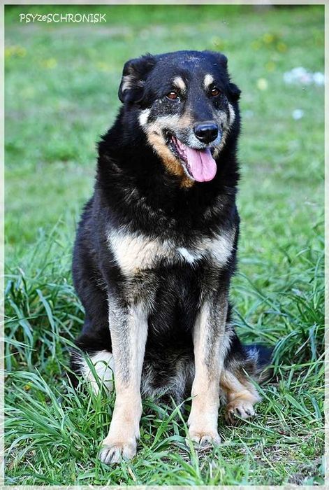 Borys – nie dla niego luksusy, wystarczy kochający opiekun