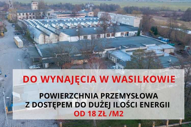 Hale w Wasilkowie