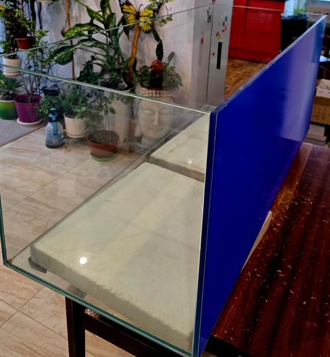 Akwarium na terrarium