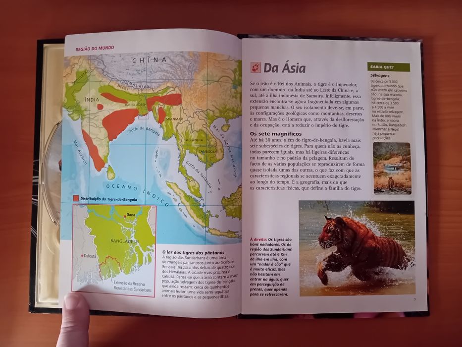 Colecção Animais Natural Killers 1,2,3,4,5