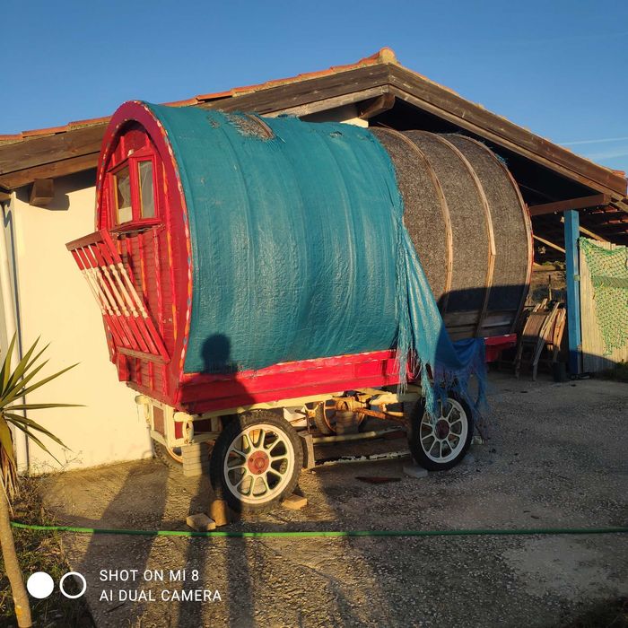 Carroça cigana Irlandesa (Varda)