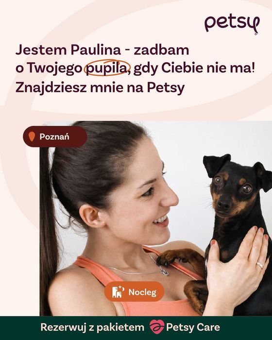 Opieka nad psem, noclegi dla psów