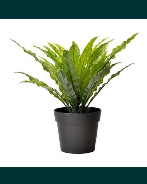 Planta artificial nova