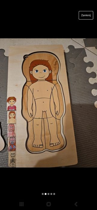 Drewniane puzzle anatomiczne