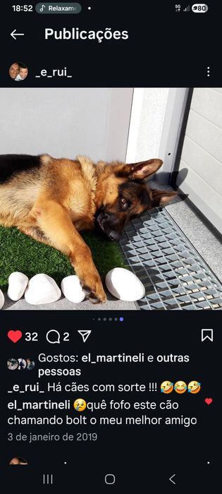 Macho com mto bom LOP  p cruzamento