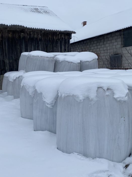 Sprzedam bele sianokiszonki