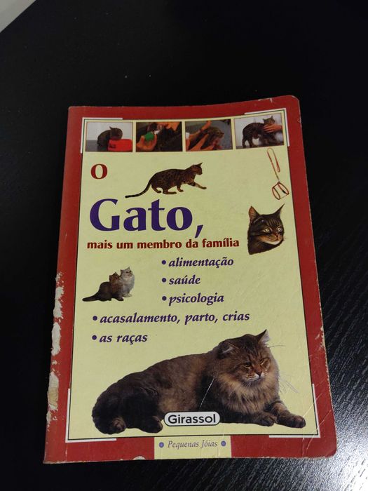 Lote 7 livros práticos (Gestão, Sexualidade, Culinária, Guias)