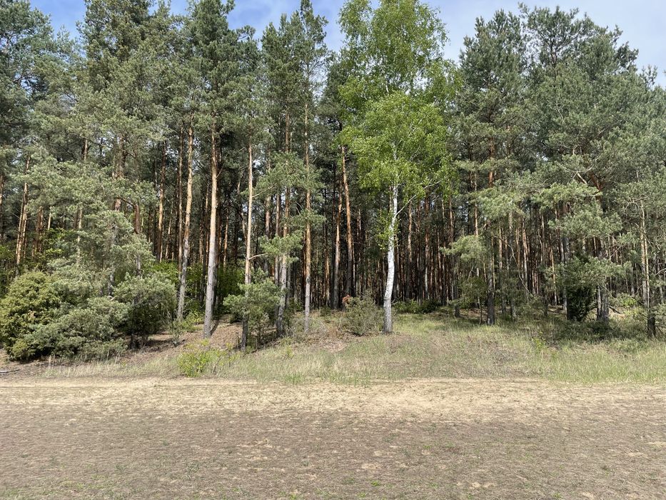 Sprzedam działkę