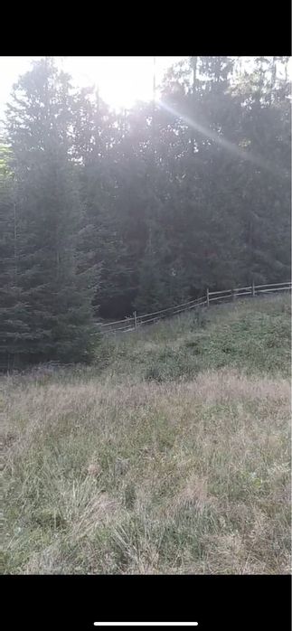 Продам ділянку Карпати село Кривопілля