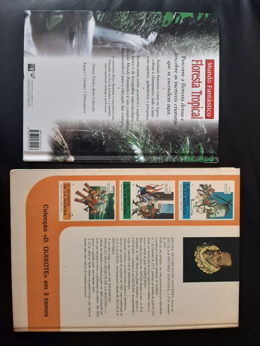 Floresta Tropical D.  Quixote mancha  Miguel Cervantes  Edinter