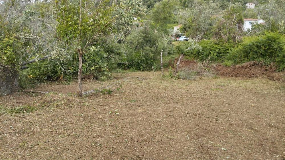 Limpeza de terreno com roçadora