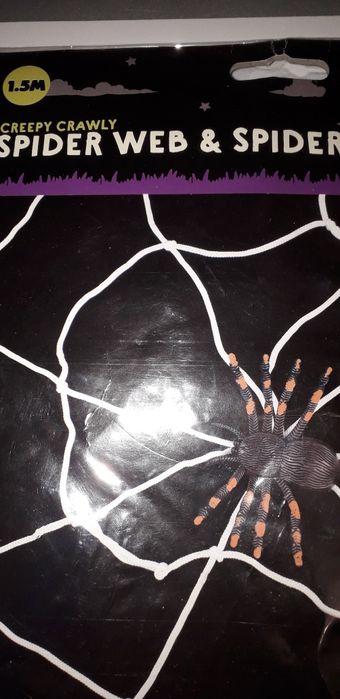 Павутина павук паутина Хелоуін  хелоуин