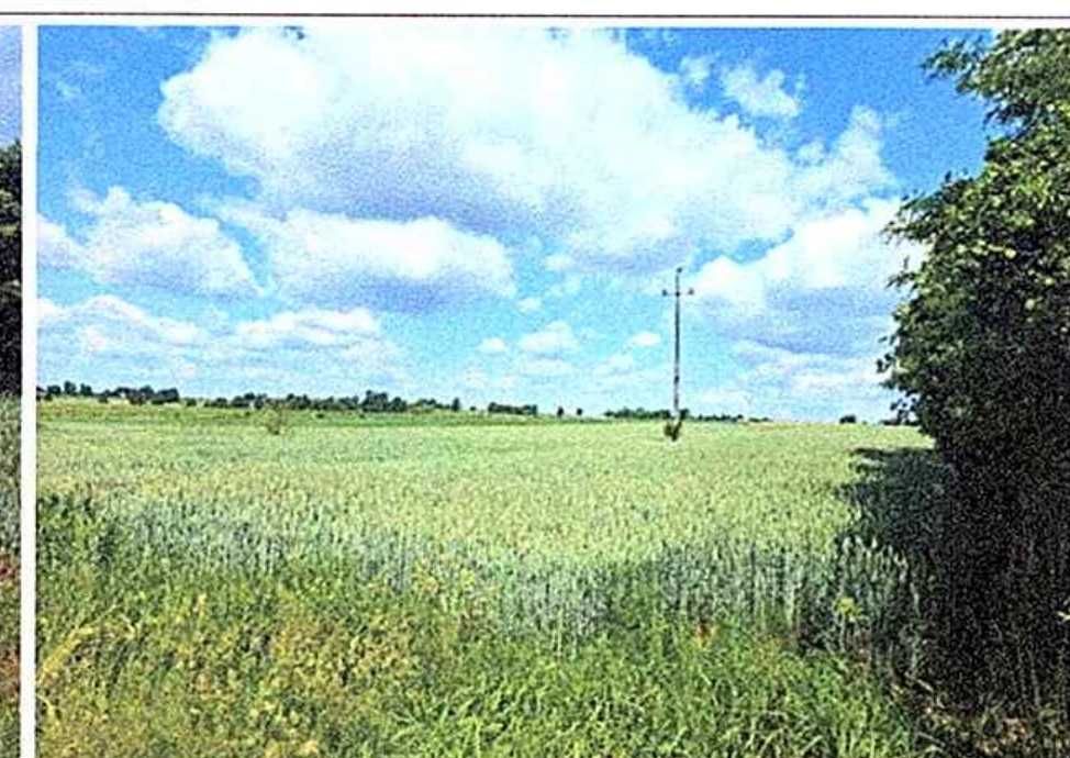 Syndyk sprzeda w drodze przetargu 0,83 ha gruntu rolnego, Skarżyn-Kolonia, gm. Malanów - Widok 5