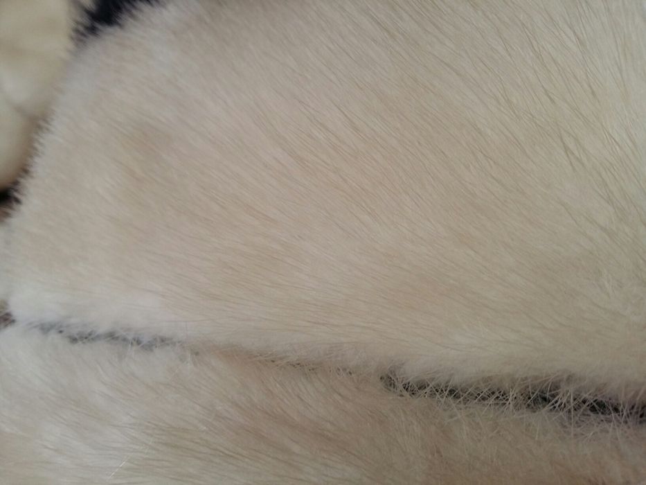 Срочно норковая шуба!