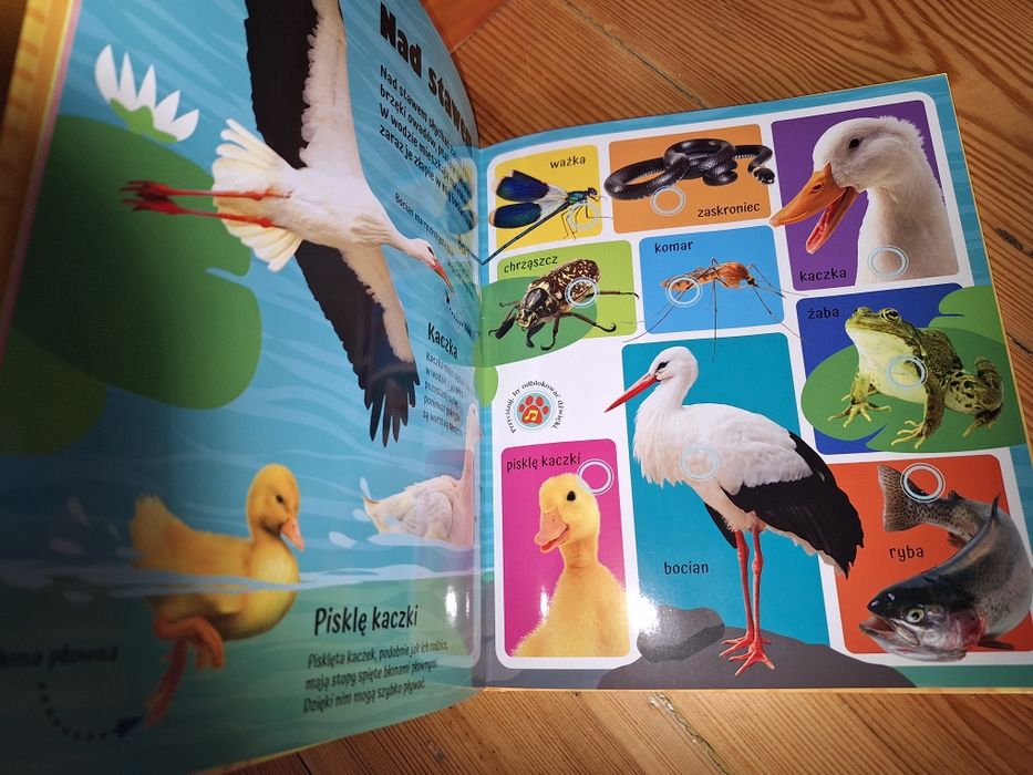 Odgłosy na wsi książeczka dźwiękowa