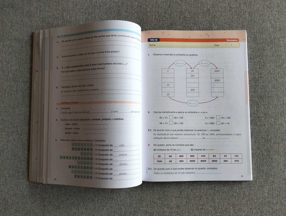 Caderno de estudo ensino básico 3.º ano "Já fizeste os TPC?"
