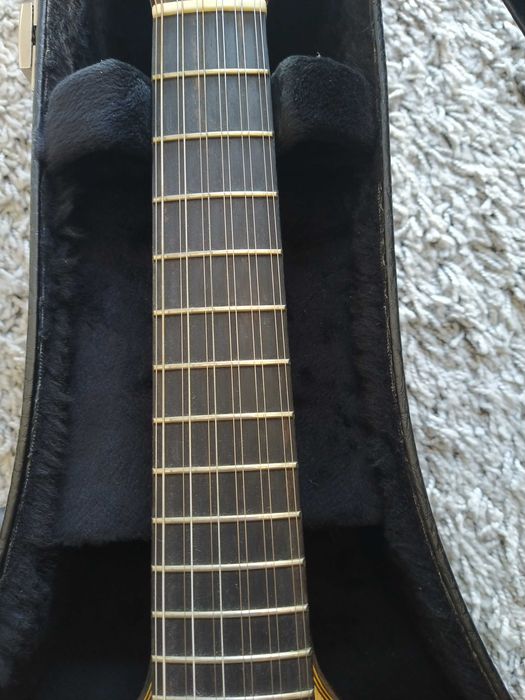 Guitarrra Portuguesa Alenic