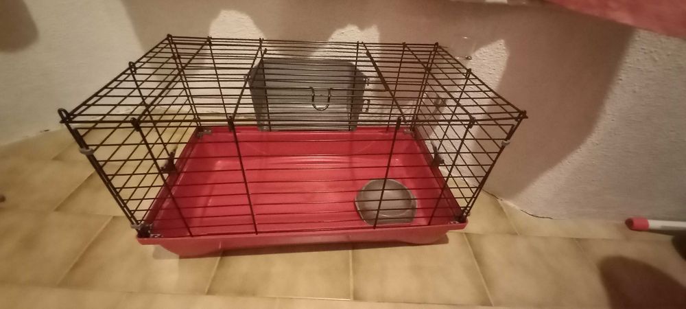 Gaiola para Roedores