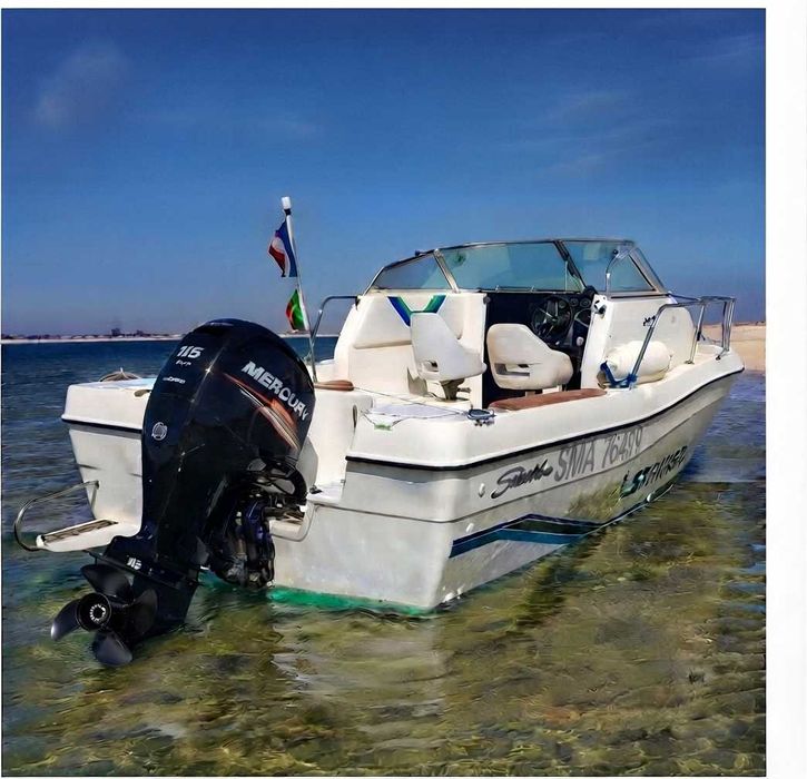 Barco Seaswirl Striper 2200 WA (Walk Around) — Totalmente Renovado + Lugar Marina