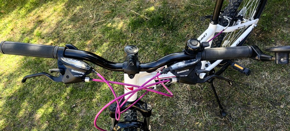 Rower Kands Dragon 24"