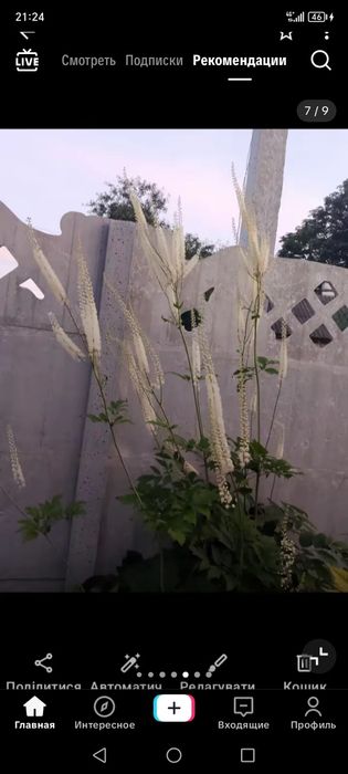 Продам Будинок с. лютенька