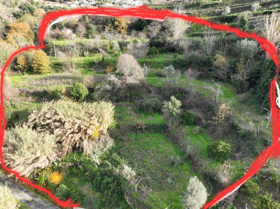 Quinta no douro com um hectare