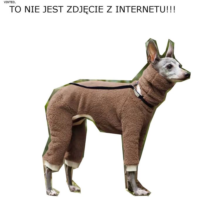 ubranko dla dużego psa XXL polar polarek