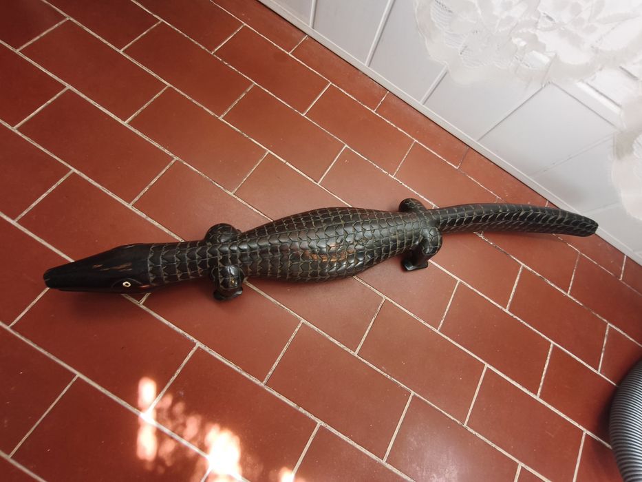 Crocodilo pau preto