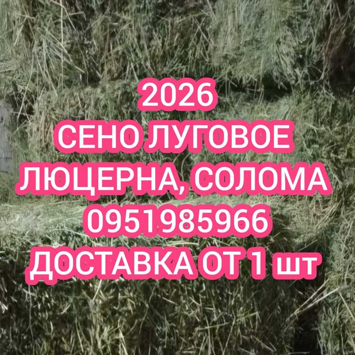 ‼️Сено БЕСПЛАТНАЯ ДОСТАВКА в тюках мешках , сіно горох и др виды.