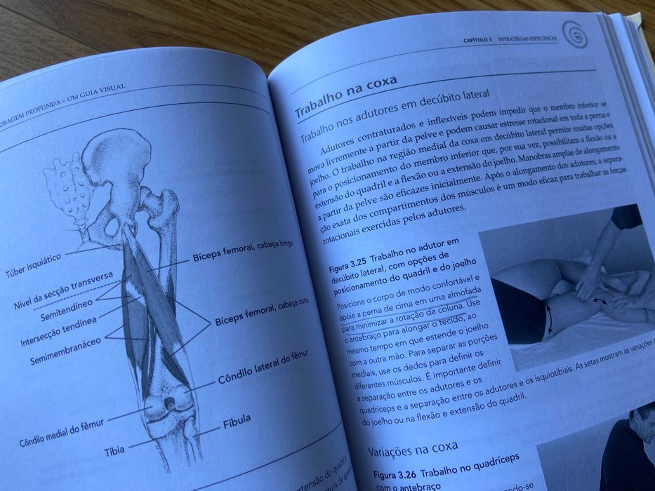 "Técnicas de MASSAGEM PROFUNDA" de Art Riggs