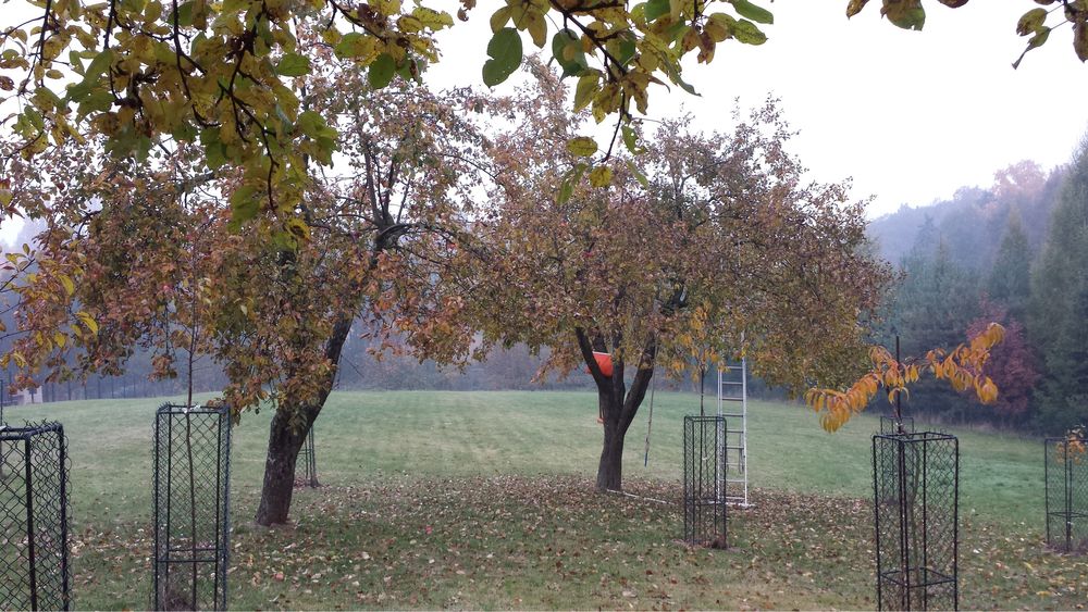 Działka w MPZP budowlana, 54 ary,blisko centrum, do podziału, inwesty.