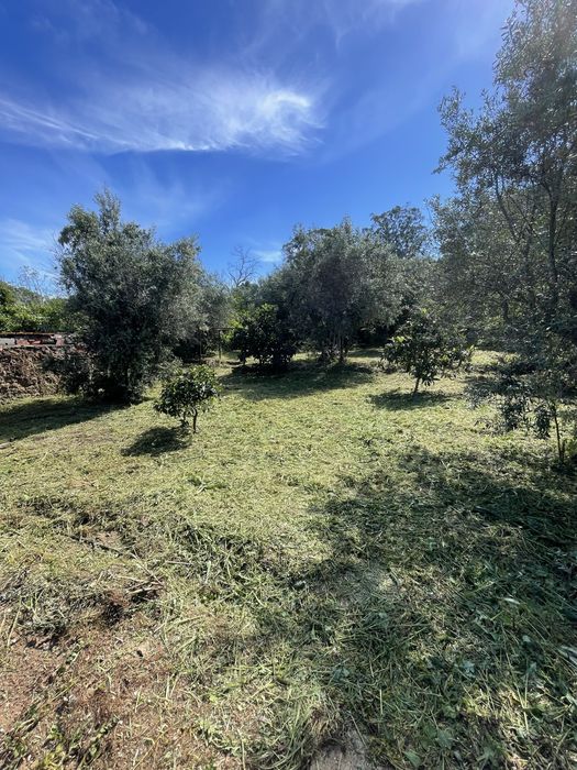 Limpeza de terrenos