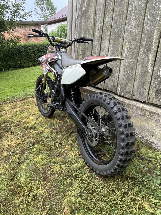 Diabollini 250 xb31
