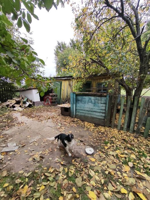 Будинок у Миколаївці (Дніпровський р-н)