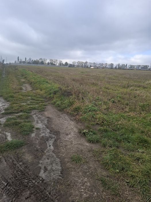 Продам Земельну Ділянку Лісові Гринівці