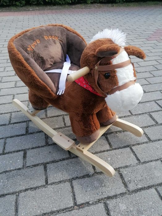 Koń na biegunach