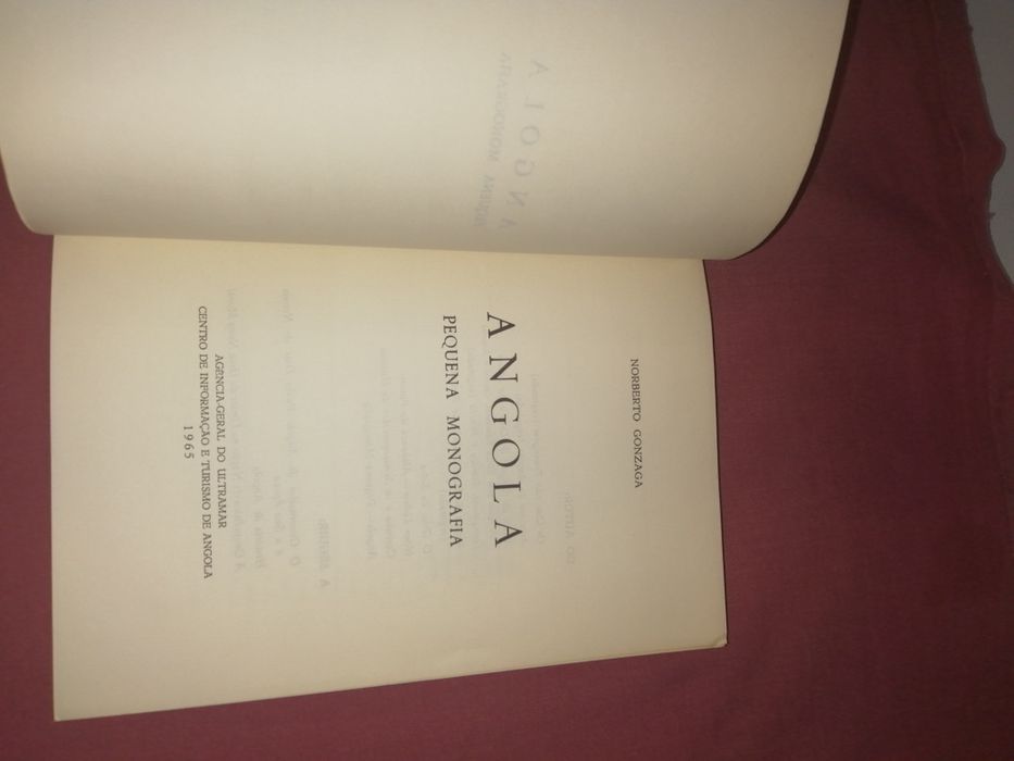 Pequena monografia de Angola