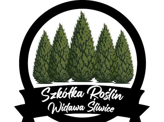 Laurowiśnia Novita Sadzonki